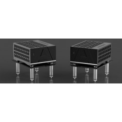 Amplificatore Avid Rference Mono Power amplifier (coppia)