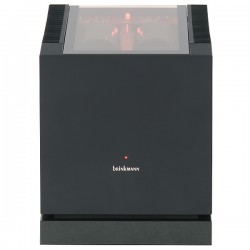 Brinkmann Finale di potenza Stereo MKII Brinkmann Finale di potenza Stereo MKII