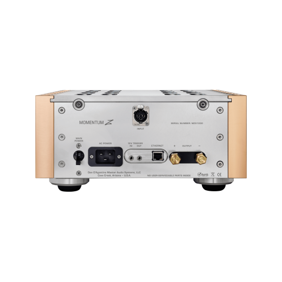 Dan D’Agostino Momentum Z – Finale Monofonico 2000 W High-End Dan D’Agostino Momentum Z – Finale Monofonico 2000 W High-End