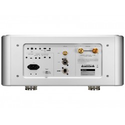 Finale di potenza Esoteric Grandioso M1X