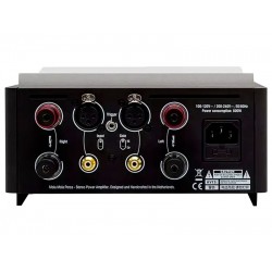 Mola Mola Perca – Amplificatore Finale di Potenza Stereo Dual Mono High-End