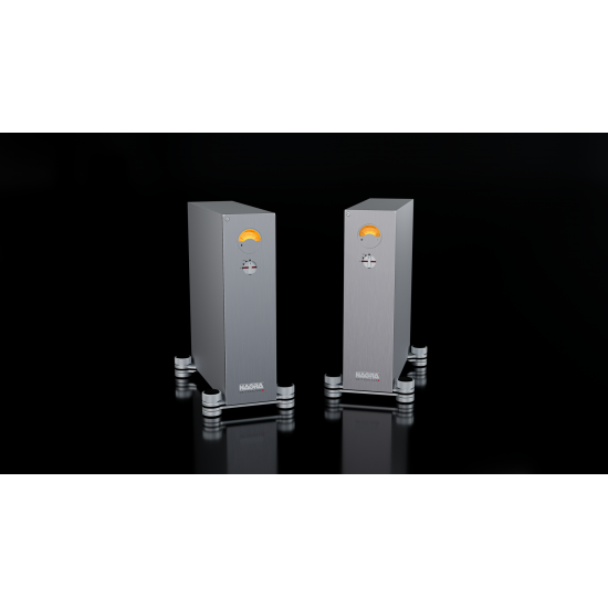 Amplificatore Nagra Reference Amp. (cadauno) Amplificatore Nagra Reference Amp. (cadauno)