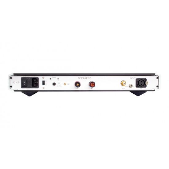 Amplificatore Finale NuPrime Evolution Two-SE