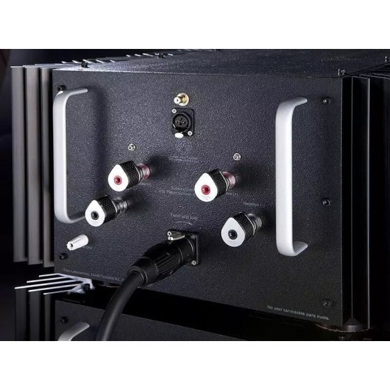 Pass Labs XS 150 – Amplificatore Finale Mono Classe A