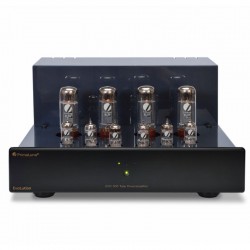 Amplificatore di potenza PrimaLuna Evo 300