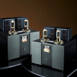 Amplificatore di potenza Mono Air Tight ATM-3211 (coppia)