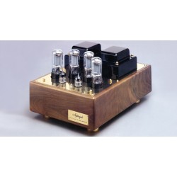 Amplificatore valvolare Nightingale finale ATS 30 Amplificatore valvolare Nightingale finale ATS 30