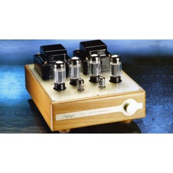 Amplificatore valvolare finale Nightingale ATS 60 Amplificatore valvolare finale Nightingale ATS 60