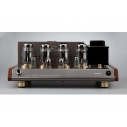 Amplificatore di potenza Leben CS-1000P Amplificatore di potenza Leben CS-1000P