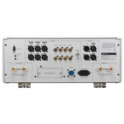 Amplificatore integrato Esoteric F-01 Amplificatore integrato Esoteric F-01