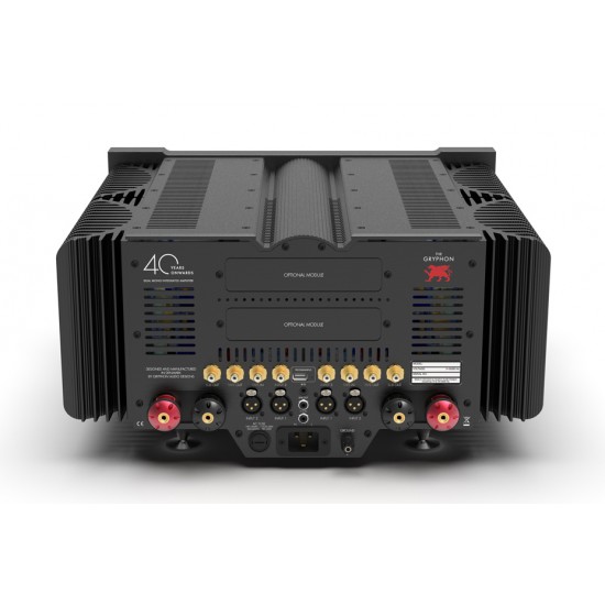 Amplificatore integrato The Gryphon 40