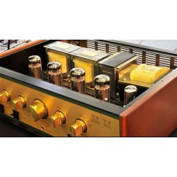 Amplificatore Integrato Leben CS-600X Amplificatore Integrato Leben CS-600X