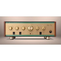 Amplificatore Integrato Leben CS-600X Amplificatore Integrato Leben CS-600X