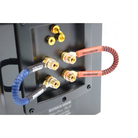 Ricable Invictus Bridge Reference – Set 4 Ponticelli Hi-End per Diffusori