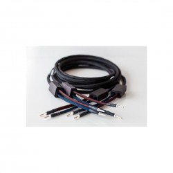 Audio Plan Faraday A cavo di potenza (coppia) (mt.3) Audio Plan Faraday A cavo di potenza (coppia) (mt.3)