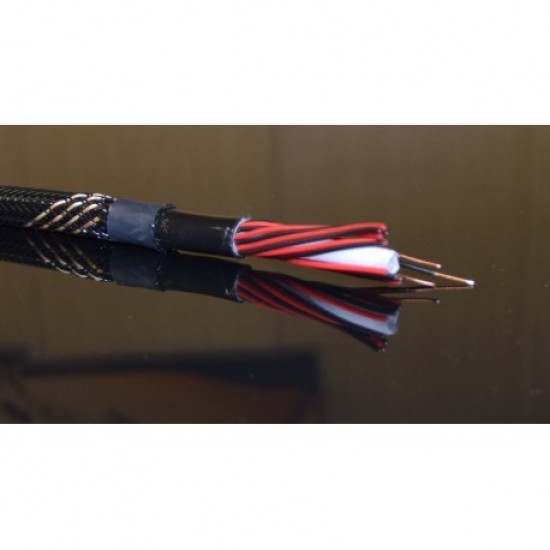 BCD SPC2 3mt. terminato con banane ad espansione (coppia)
