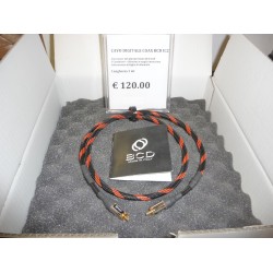 BCD Digitale coax IC2