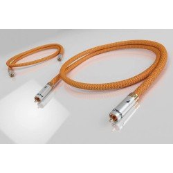 Ricable Dedalus Signal – Cavo di Segnale RCA Stereo Hi-End (coppia)