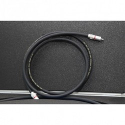 Cavo di Interconnessione Van Den Sul CNT RCA 1 M