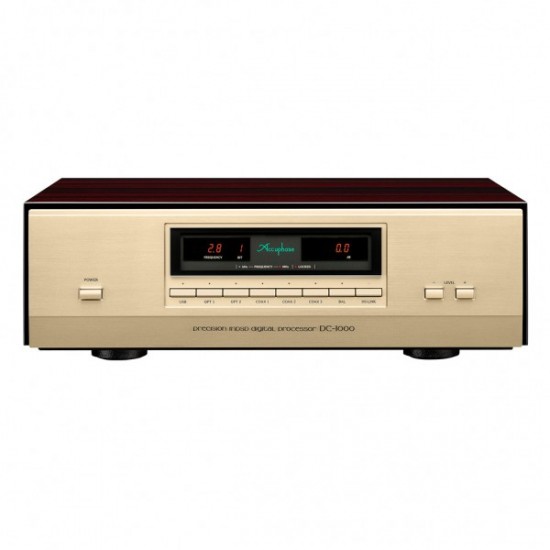 Convertitore Accuphase DC-1000