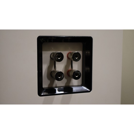 Diffusori Proac K 1 white
