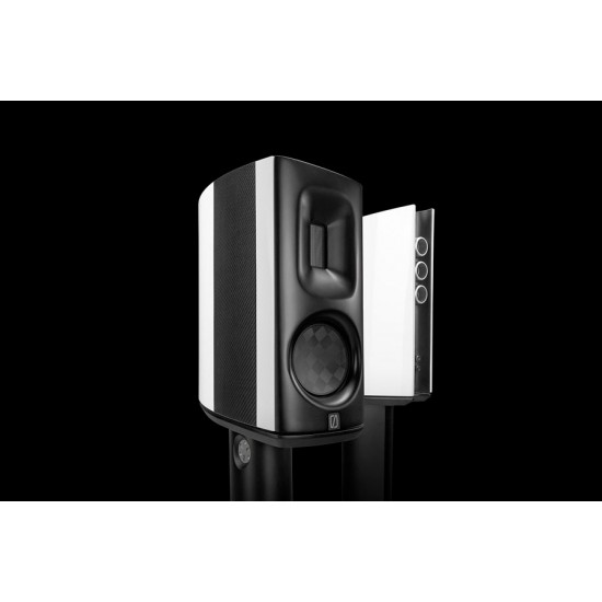 Diffusori d scaffale Borresen Serice C1 (coppia)