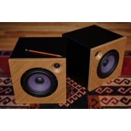 Diffusori DeVORE Fidelity Orangutan micr/O (coppia)