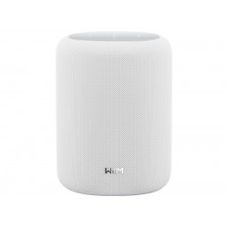 WiiM Sound Lite – Diffusore Attivo Smart Wireless Multiroom Hi-Res