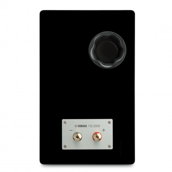 Diffusore da scaffale Yamaha NS- 3000 (coppia)