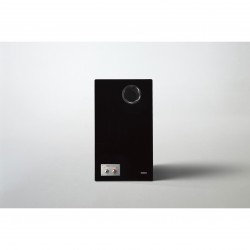 Diffusore Yamaha NS-5000 (coppia)