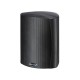 Diffusore da esterno Paradigm Stylus 170 (coppia)
