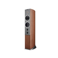 Audiovector R 6 Avantgarde – Diffusori da Pavimento Hi-End (Coppia)