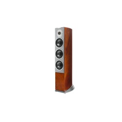 Audiovector R 5 Arreté – Diffusori da Pavimento 3,5 Vie High-End (Coppia)