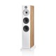 Diffusore da pavimento B&W 603 S3 (coppia)