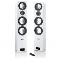 Diffusori da pavimento Canton Smart Gle 9  S2 (coppia)