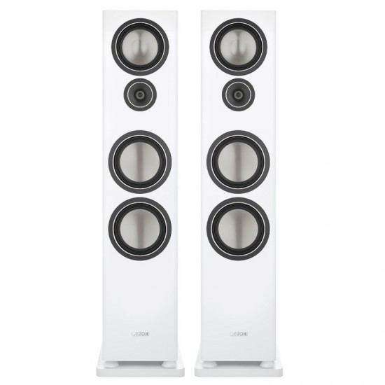 Diffusori Canton Townus 100 (coppia)