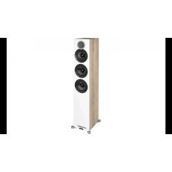 ELAC Debut Reference DFR52 – Diffusori da Pavimento a 3 Vie Bass Reflex (Coppia)