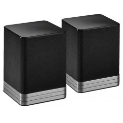 Diffusore Electrocompaniet Tana SL 2 (coppia) Diffusore Electrocompaniet Tana SL 2 (coppia)
