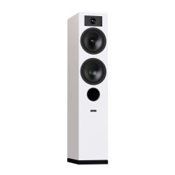 Indiana Line Tesi 5 – Diffusori da Pavimento Hi-Fi a 2,5 Vie Bass-Reflex (Coppia)