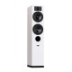 Indiana Line Tesi 5 – Diffusori da Pavimento Hi-Fi a 2,5 Vie Bass-Reflex (Coppia)
