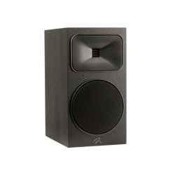 Diffusore Martin Logan Foundation B2 (coppia) Diffusore Martin Logan Foundation B2 (coppia)