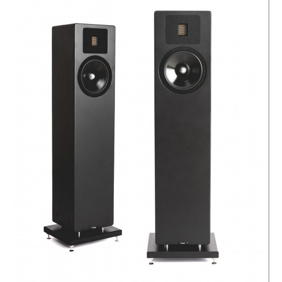 Diffusore da pavimento Neat Acoustic Elite Classic (coppia)