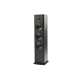 Polk Audio T50 – Diffusore da Pavimento Hi-Fi e Home Cinema (coppia) Polk Audio T50 – Diffusore da Pavimento Hi-Fi e Home Cinema (coppia)