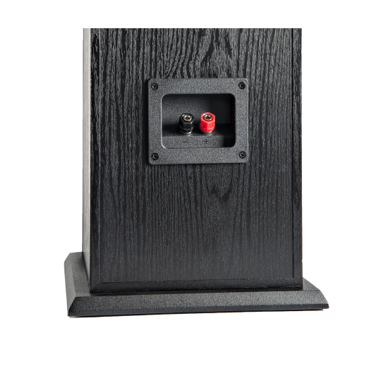 Polk Audio T50 – Diffusore da Pavimento Hi-Fi e Home Cinema (coppia) Polk Audio T50 – Diffusore da Pavimento Hi-Fi e Home Cinema (coppia)