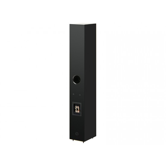 Diffusore Pro-Ject | Speaker Box 12 E Carbon (coppia)
