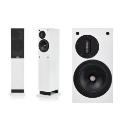 ProAc Response D20 Ribbon – Diffusori da Pavimento Hi-End a 2 Vie Bass Reflex (Coppia) ProAc Response D20 Ribbon – Diffusori da Pavimento Hi-End a 2 Vie Bass Reflex (Coppia)