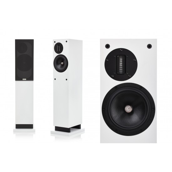 Diffusori ProAc Response D 20  (coppia)