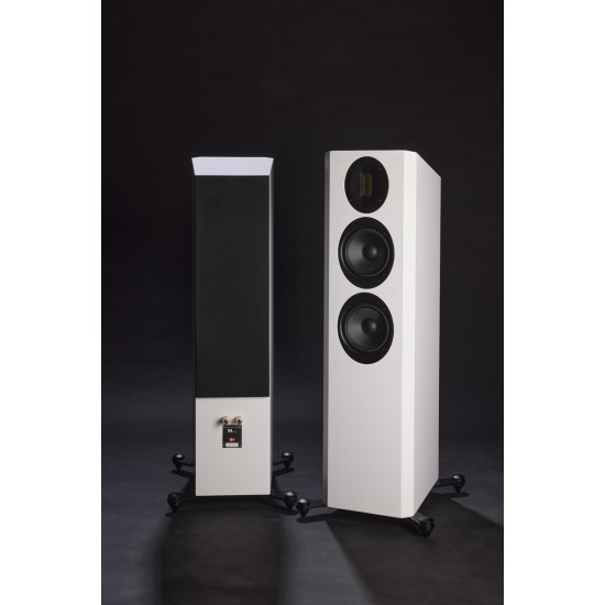 Diffuso®e da pavimento Scansonic M20.2 (coppia)