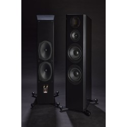 Diffusore da pavimento Scansonic M30.2 (coppia)