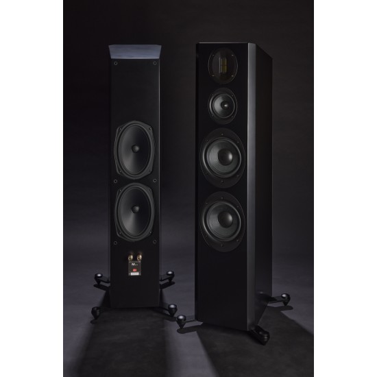 Diffusore da pavimento Scansonic M30.2 (coppia)